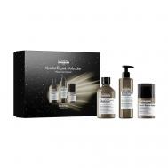 Набор Serie Expert Absolut Repair Molecular Trio Meteora Limited Edition L'Oreal Professionnel