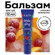 Бальзам для губ Клюква и апельсин Winter story Eden