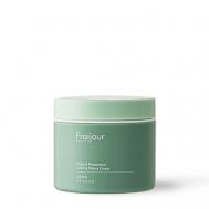 Успокаивающий крем для проблемной кожи лица Original Herb Wormwood Calming Watery Cream 100 Fraijour