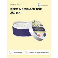 Крем-масло для тела BIOSPA Инжир и оливковое масло (смягчающее) 250 Sea of Spa