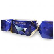 Набор соль для ванн Бурлящий шар OCEAN DRIVE Ресурс Здоровья