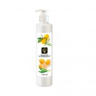 Шампунь Полное Восстановление 250 Shams Natural Oils