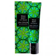 Питательный бальзам для губ "ДИКАЯ МЯТА" SPA CEYLON