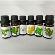 Эфирное водорастворимое масло, набор 60 AIRISLON