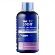 Жидкость для ирригатора Вечерний детокс 500 WATERDENT