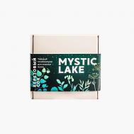 Твёрдый кондиционер "Березовый сок" для жирных волос 50 MYSTIC LAKE