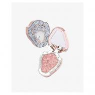 Компактные румяна Unicorn Embossed Blush FLOWER KNOWS