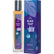 Грезы ЧЕРНЫЙ ТЮЛЬПАН DAY DREAMS BLACK TULIP 55 Brocard