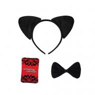 Эротический набор для двоих Территория соблазна. Женщина-кошка ECSTAS