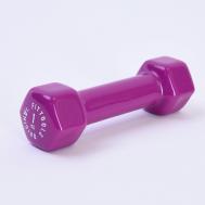 Гантель в виниловой оболочке 1 кг Original FitTools