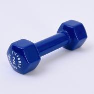 Гантель в виниловой оболочке 2 кг Original FitTools
