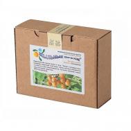 Средство для очищения тела и волос Sapindus Trifoliatus 200 Мыльные орехи