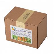 Средство для очищения тела и волос Sapindus Trifoliatus 500 Мыльные орехи