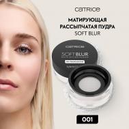 Пудра рассыпчатая матирующая Soft Blur Matte Setting Powder 8 CATRICE