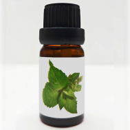 Эфирное водорастворимое масло Мята 10 AIRISLON