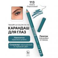 Карандаш для глаз TRIUMPH of COLOR Eyeliner TF