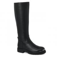 Сапоги Tendance