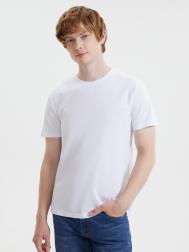 Однотонная базовая футболка из хлопка ZOLLA