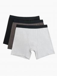 Набор удлинённых трусов (3 шт. в комплекте) ZOLLA