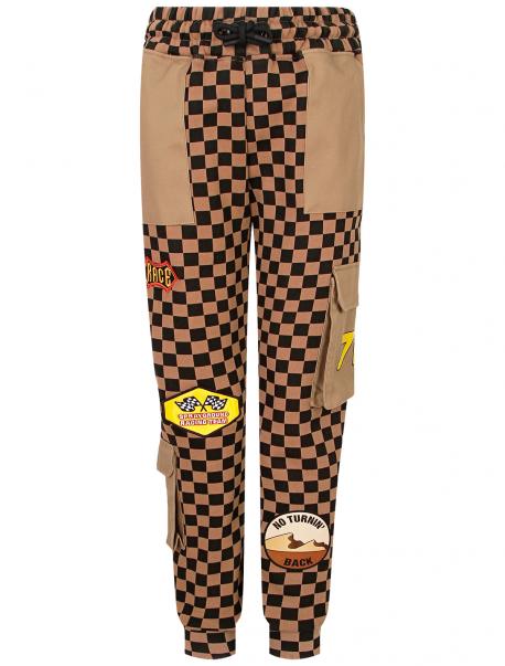 Брюки спортивные Sprayground