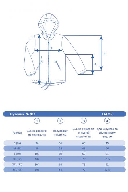 Мужской зимний Пуховик  Черный, 76707 (48, m) Lafor