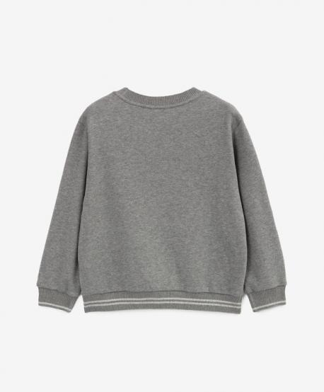 Свитшот для мальчика серый из меланжевого трикотажа  (152) Roberto Moretti