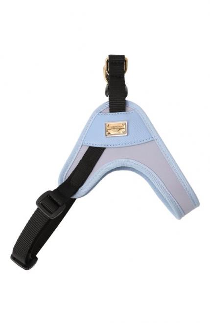 Шлейка Dolce&Gabbana