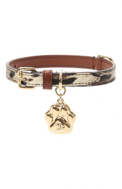 Ошейник для собак Dolce&Gabbana