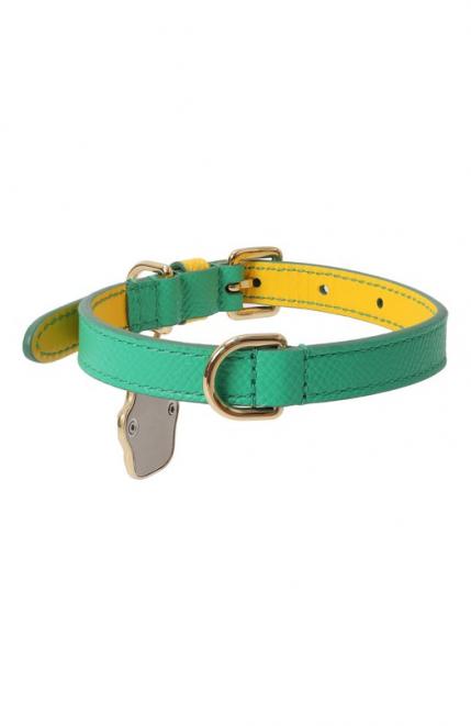 Ошейник для собак Dolce&Gabbana