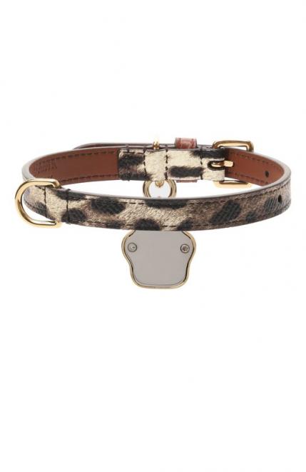 Ошейник для собак Dolce&Gabbana