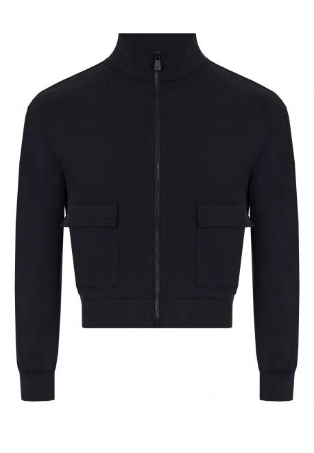 Олимпийка Ea7