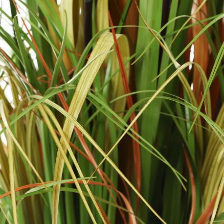 Цветок искусственный  Кортадерия в горшке 182 см Shandong hr arts