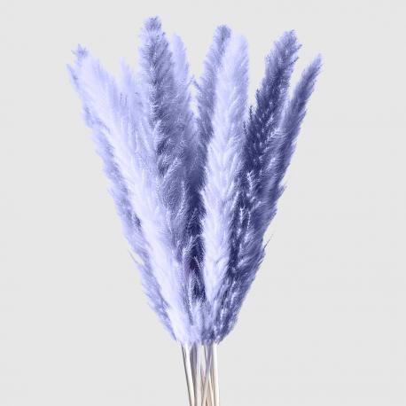 Сухоцветы  кортадерия премиум, сиреневый, 7, 160 см Donna Flor