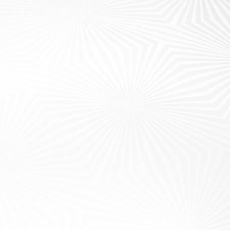 Подушка  100% сибирский гусиный пух 50х70 см белая Tissage