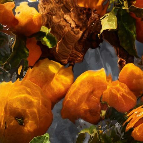 Aqua Allegoria Forte Mandarine Basilic 75 GUERLAIN