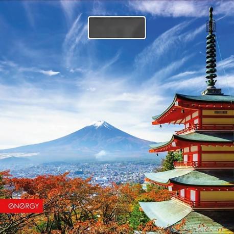 Весы напольные электронные  EN-419H Energy