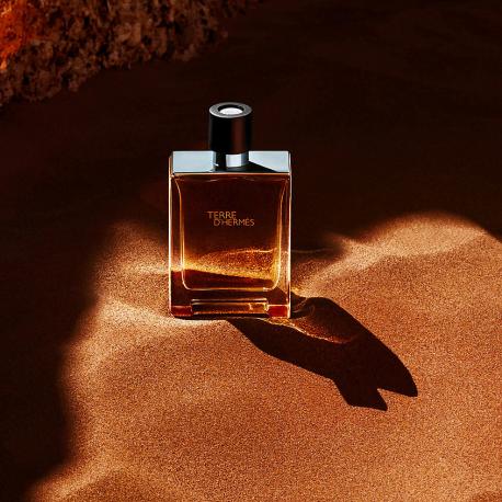 Terre d'Hermès 100 HERMES