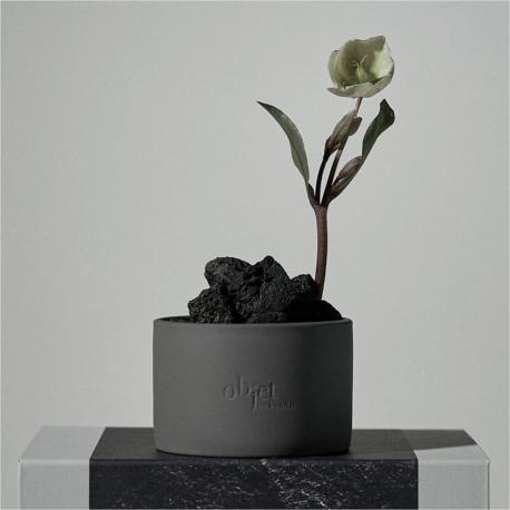 Набор диффузор с вулканическим камнем Травянистые растения Grassy Flower Kundal