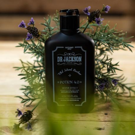 Шампунь для седых и светлых волос Potion 4.0 200 DR JACKSON