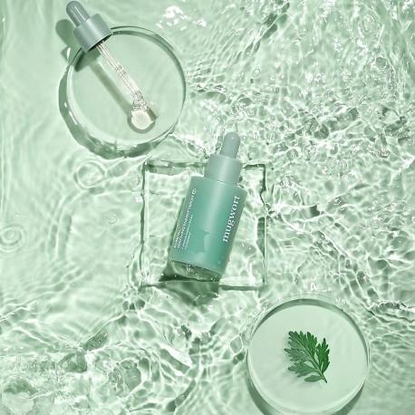 Сыворотка для лица успокаивающая с полынью Mugwort Skin Care 30 Kundal