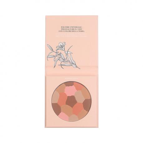 Пудра для лица Pure beauty Mosaic face powder компактная Астра