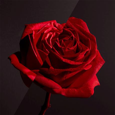 Помада для губ с ультра матовым эффектом L'Absolu Rouge Drama Matte Lancome