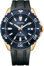 Японские наручные  мужские часы  BN0196-01L. Коллекция Promaster Citizen