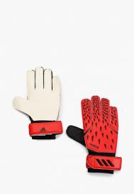 Перчатки вратарские Adidas