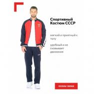 Костюм , олимпийка и брюки, силуэт прямой, карманы, подкладка, утепленный, размер 54, красный Addic