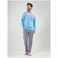 Пижама , брюки, футболка, карманы, размер 4xl, серый, голубой VIENETTA