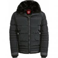 куртка , демисезон/зима, размер L, синий Wellensteyn