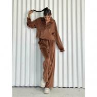 Костюм, худи и брюки, повседневный стиль, свободный силуэт, капюшон, размер 42, коричневый Asi Lux