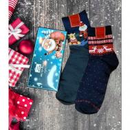 Мужские носки , 2 пары, классические, фантазийные, воздухопроницаемые, подарочная упаковка, на Новый год, размер 41-47, зеленый, синий Мастер Хлопка
