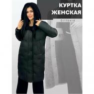 куртка  зимняя, силуэт прямой, карманы, размер 52, черный Diffberd